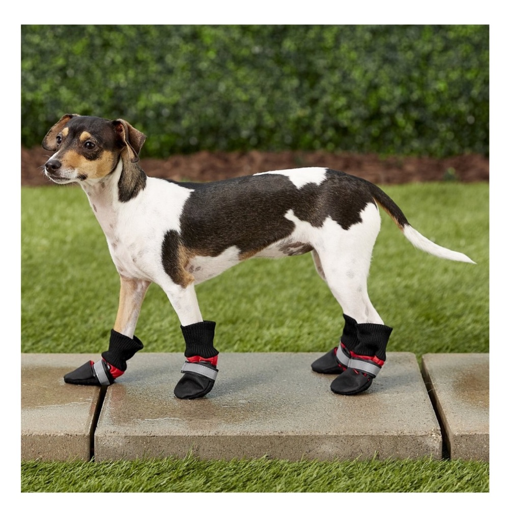 🐾 set 4 Dog Boots socks all weather snow mud 5 Frisco NWT NIP pack paws furbaby